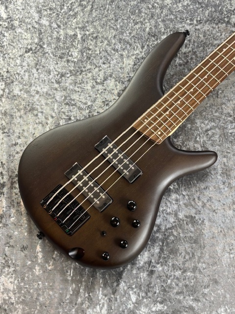 Ibanez SR305EB - WNF : Walnut Flat -（新品）【楽器検索