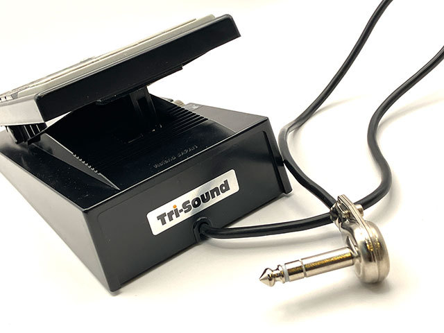 VEMURAM Jan Ray Exp-mod. #41（中古）【楽器検索デジマート】