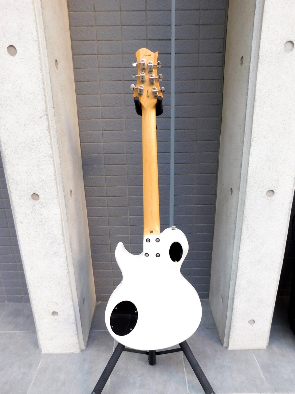 FREEDOM CUSTOM GUITAR RESEARCH RRS Bravery-12（中古）【楽器検索
