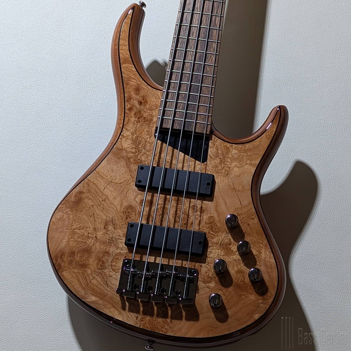 MTD Kingston Z5 -Natural Gloss-【4.22kg】（新品）【楽器検索