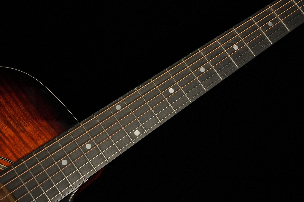 Washburn WCG12FCE エレアコギター（新品特価/送料無料）【楽器検索