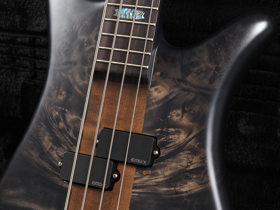 Spector USA Custom Shop NS-2 Buckeye ~Super Faded Black~（新品