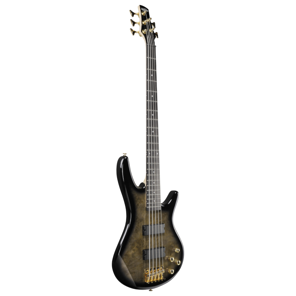 【*】様 Ibanez Gio GSR205PC-TMU 5弦ベース GSR205PC | SR | ELECTRIC BASSES | PRODUCTS | Ibanez guitars