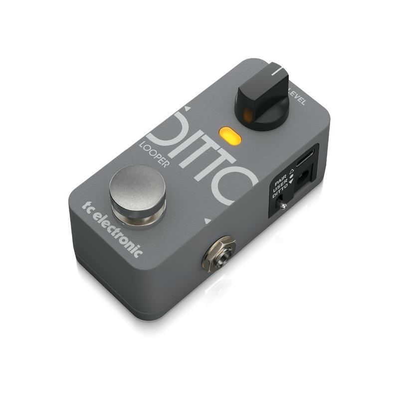 tc electronic DITTO 2 LOOPER（新品）【楽器検索デジマート】