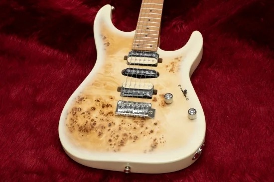Bacchus IMPERIAL24-BP-RSM/M BD-B【GIB兵庫】（新品/送料無料