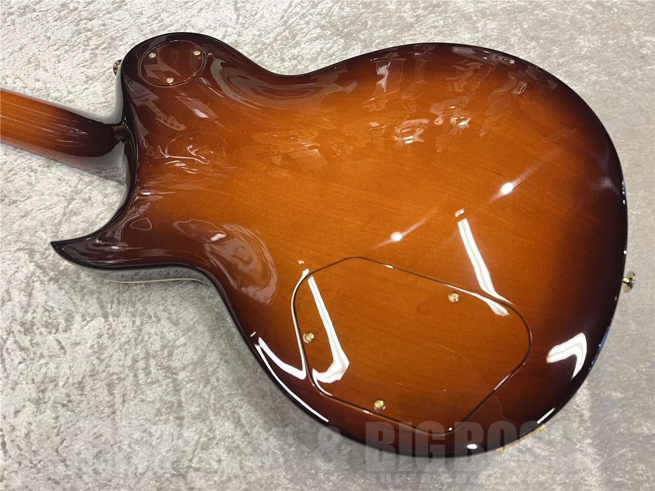 Aria Pro II PE-R80【Japan Brown】（新品/送料無料）【楽器検索