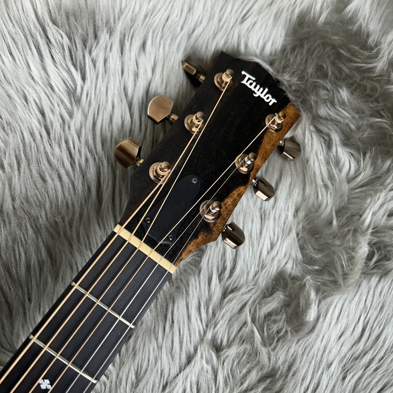Taylor 【現物写真】214ce RW DLX エレアコギター（中古/送料無料