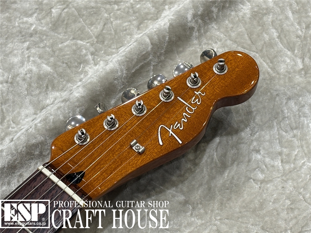 Fender Offset Telecaster Limited Mahogany / 限定カラー（中古/送料
