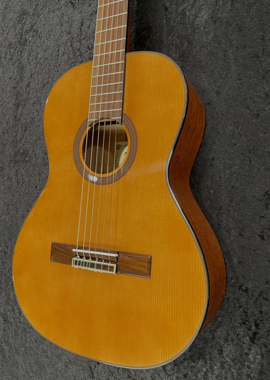 ARIA A-20-58（新品）【楽器検索デジマート】
