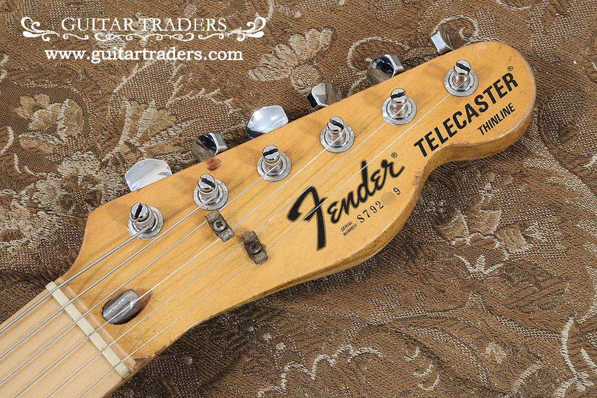 Fender 1977 Telecaster Thinline（ビンテージ）【楽器検索デジマート】