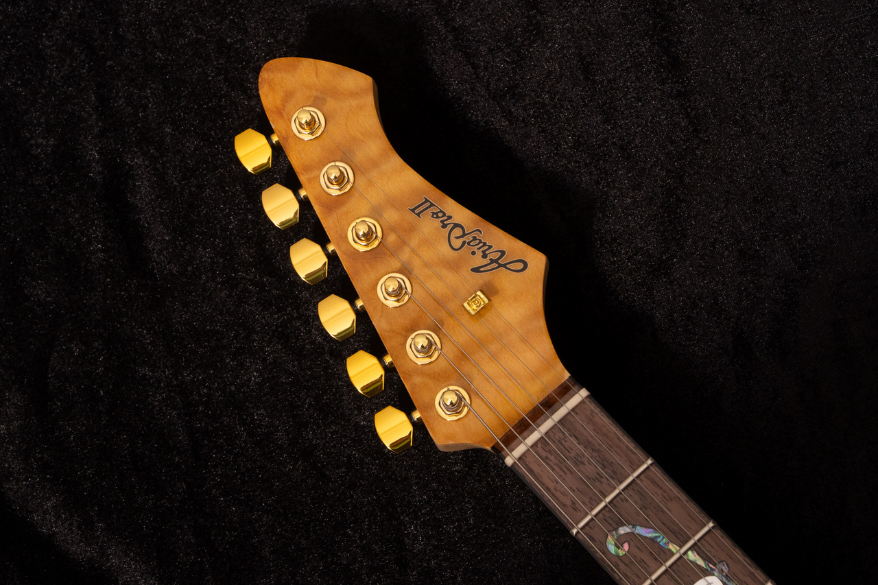 Aria Pro II TEG-780 3.495kg #1024121093【TONIQ横浜】（B級特価/送料