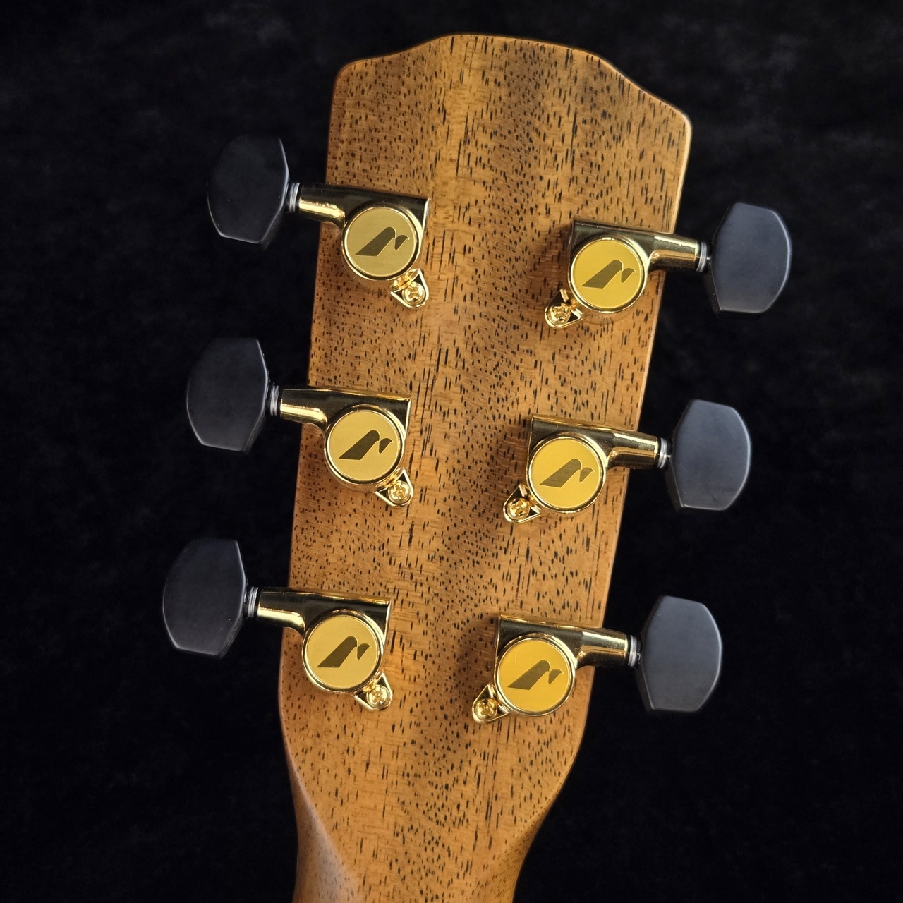 Morris SC-61 - Natural【現物画像】【2/8までMorris Fair 開催中