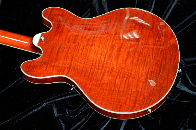 Eastman T486/CLA（新品）【楽器検索デジマート】