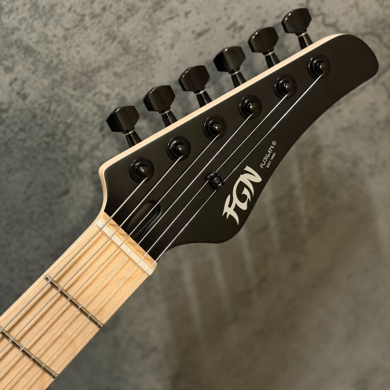 FUJIGEN(FGN) JIL2-ASH-DE-M ~Open Pore Black~ #D260104【3.43kg