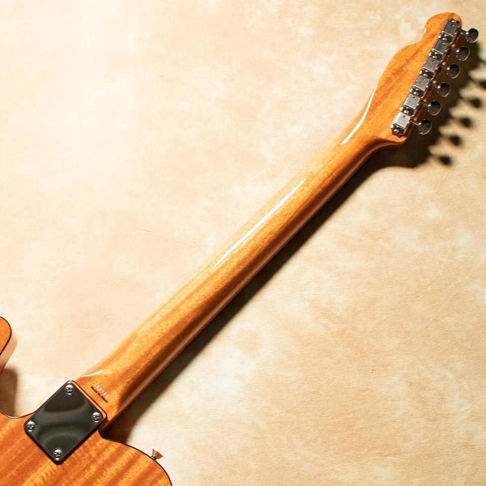 Tokai ATE-103S N/R（新品/送料無料）［デジマートSALE］【楽器検索