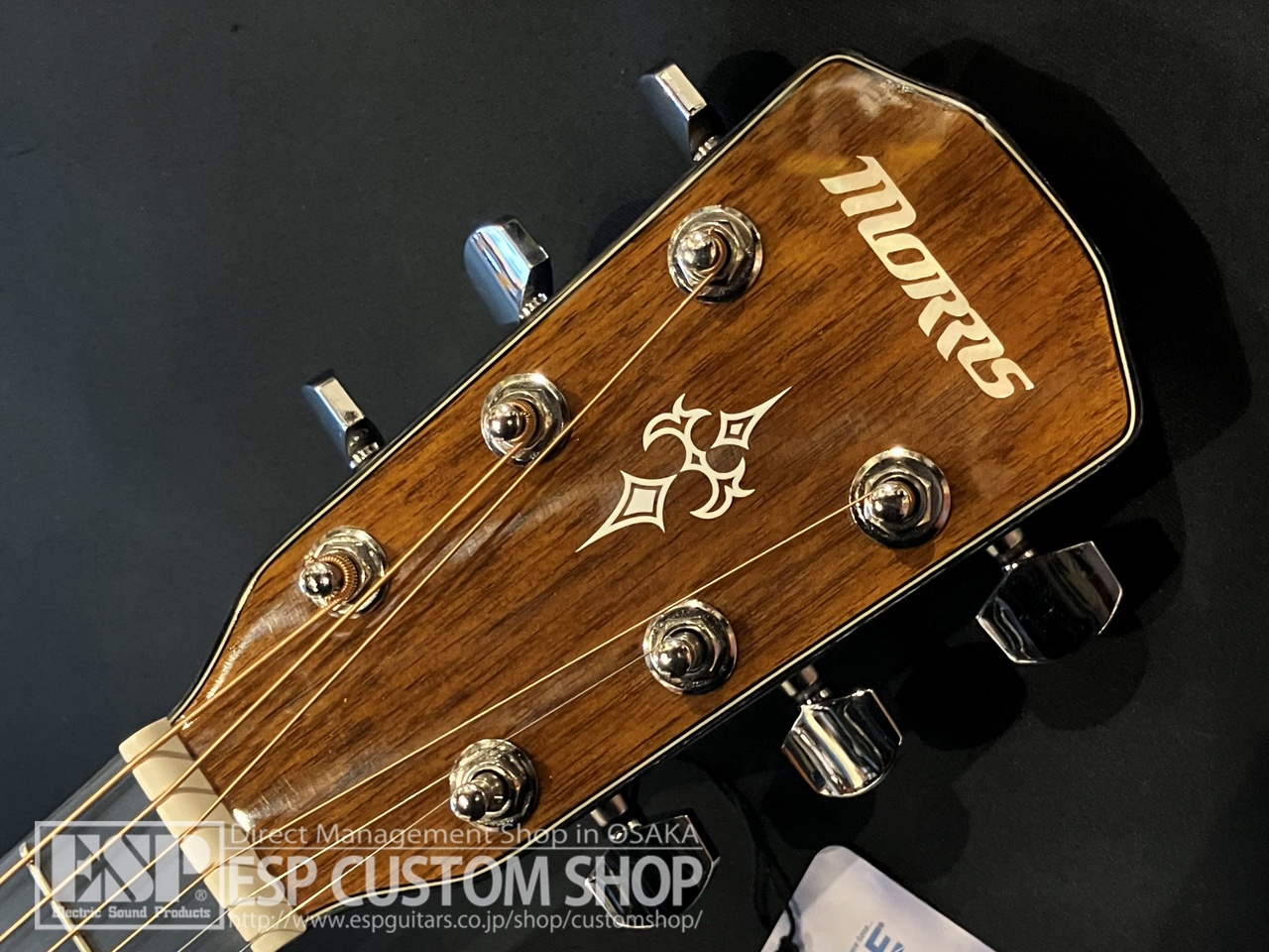 Morris MF-252 Acoustic Guitars アコースティックギター