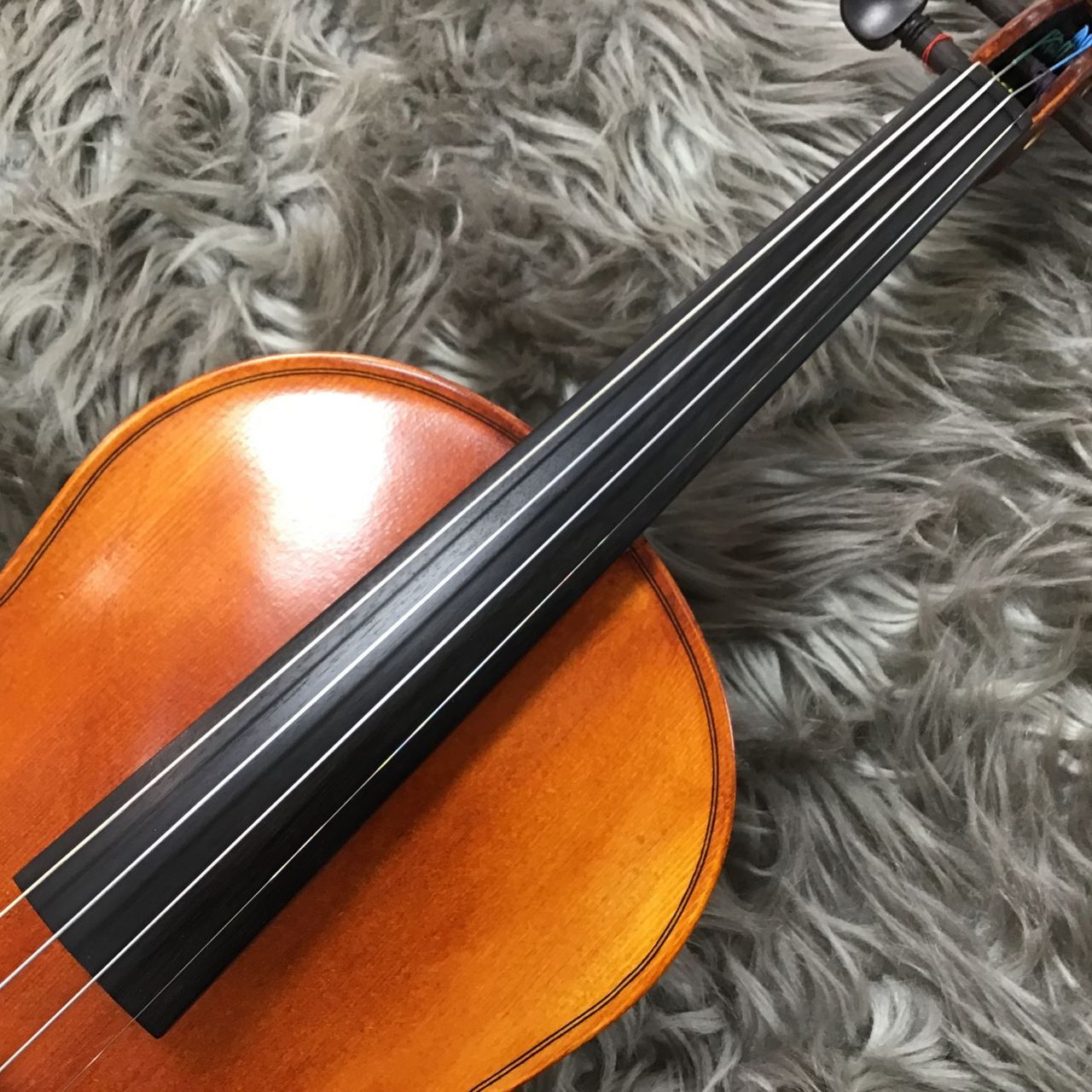 Carlo Giordano VS-S1 4/4 バイオリンセット【現物写真】（新品