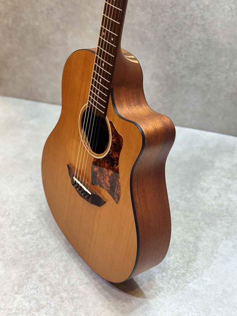 FUJIGEN(FGN) AG1（中古）【楽器検索デジマート】