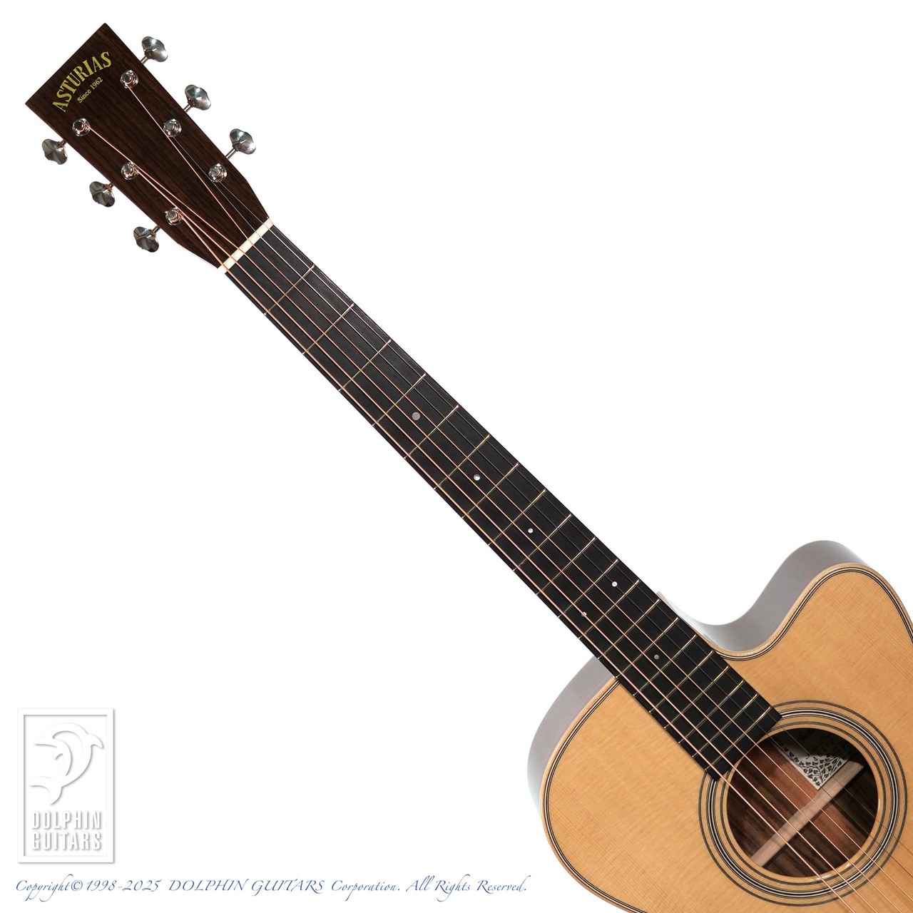 ASTURIAS Solo Standard/S【48回無金利対象品】（新品）【楽器検索