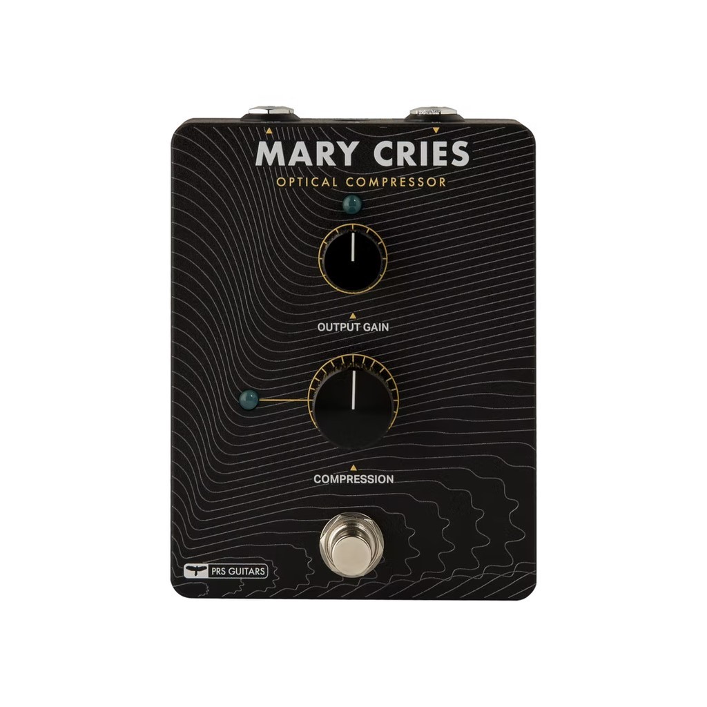 Paul Reed Smith(PRS) MARY CRIES（新品/送料無料）【楽器検索デジマート】