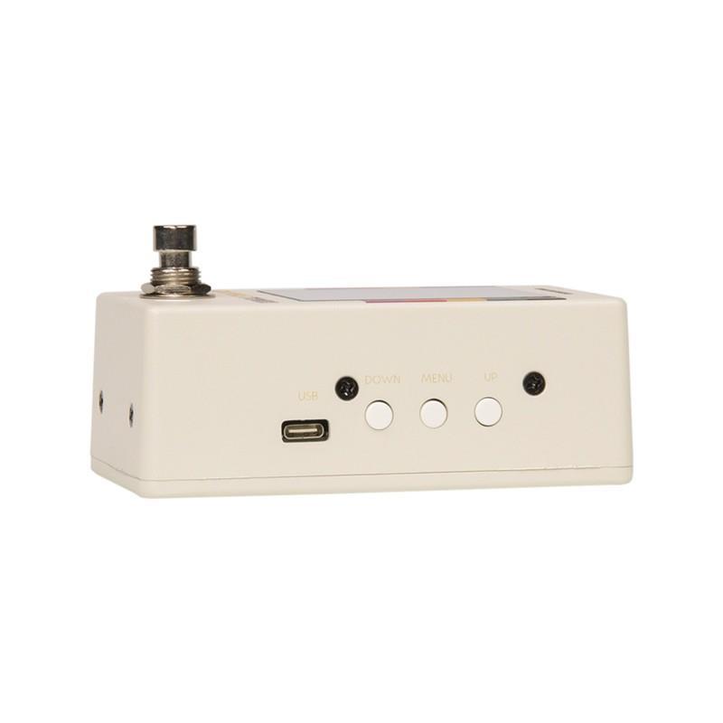 WALRUS AUDIO Canvas Tuner [Limited Canvas Harvest Series]【限定