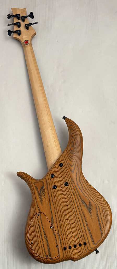 F-bass 【48回無金利】Deluxe BN5【NEW】（新品/送料無料