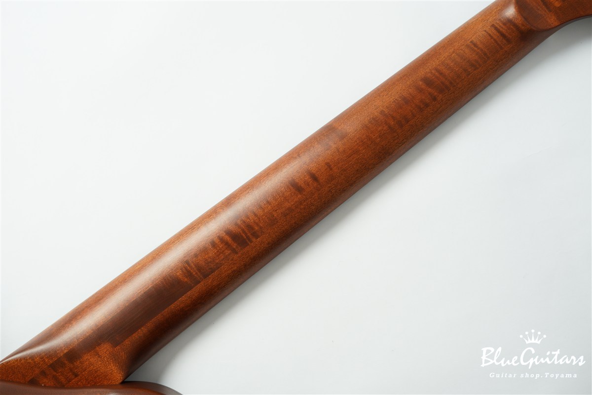 Collectera S1-SH - Antique Brown（新品/送料無料）【楽器検索