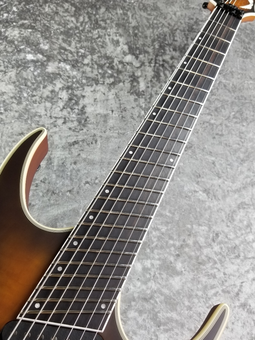 DEAN 7弦ギター Karl Sanders V 7 String Transparent Black | Dean Guitars