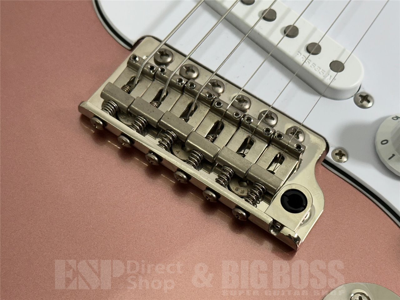 Paul Reed Smith(PRS) SILVER SKY (Midnight Rose/ Rosewood