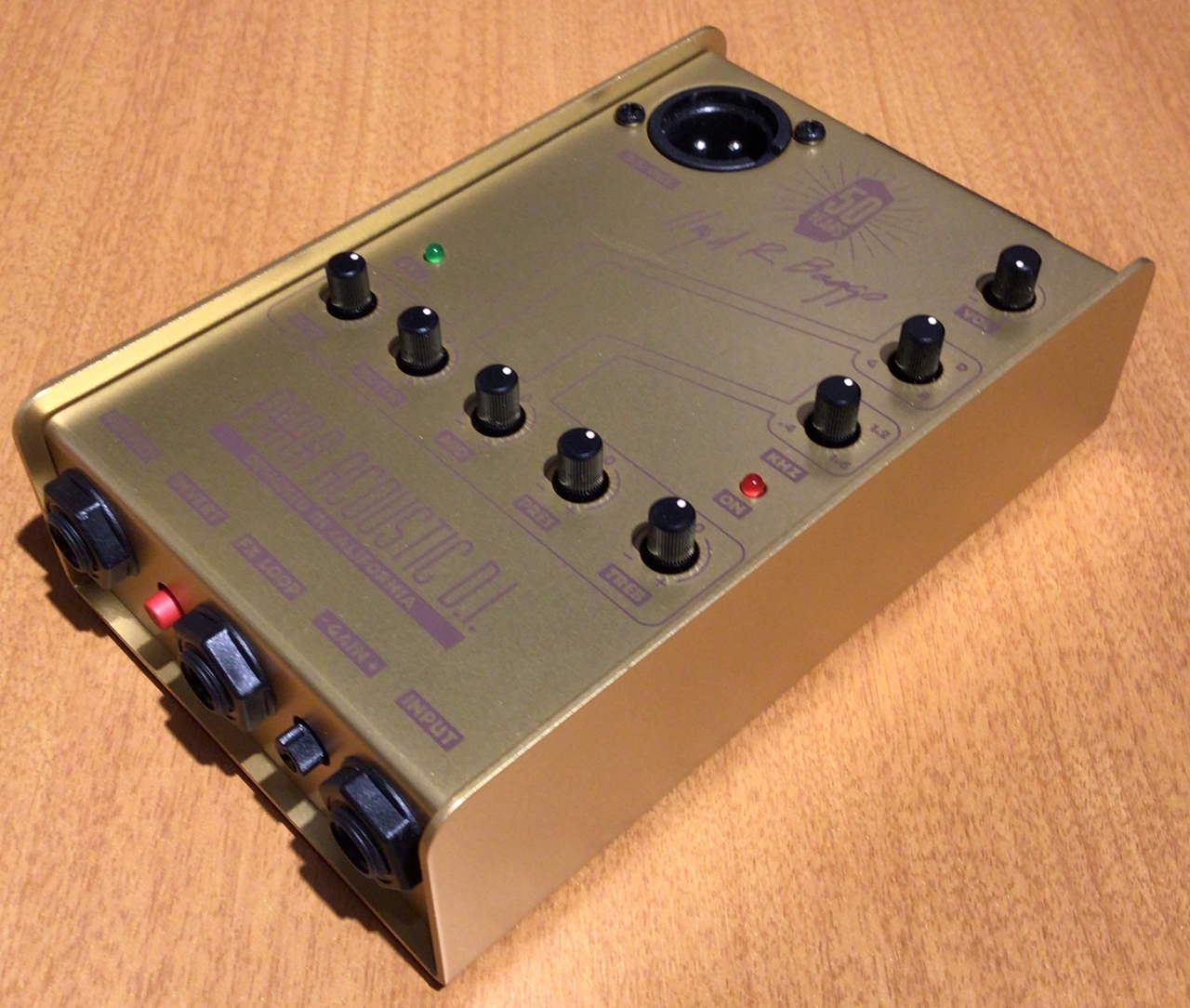 L.R.Baggs 50th Anniversary Gold Para Acoustic DI【未展示保管