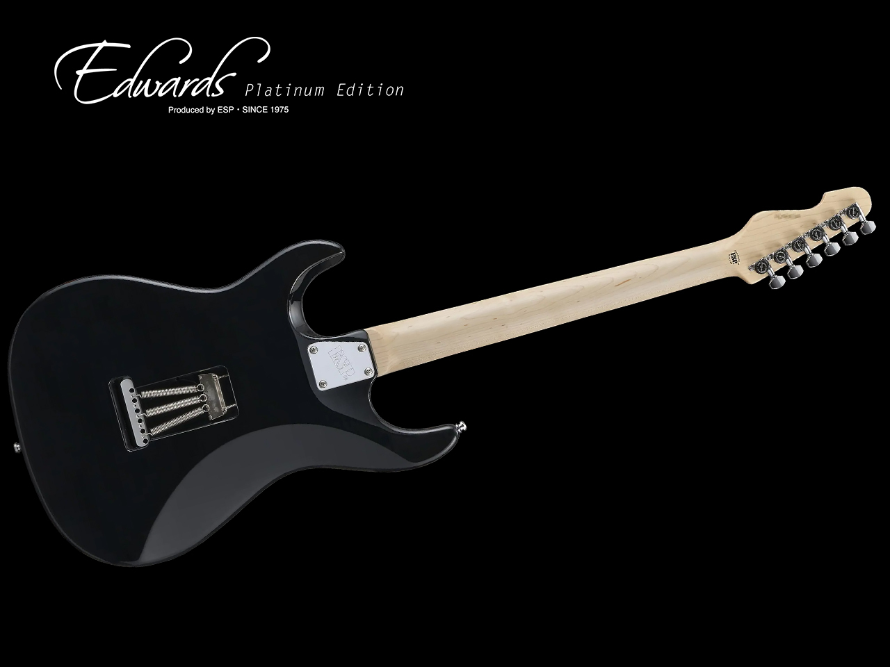 EDWARDS Platinum Edition E-TYG2 (9mm Parabellum Bullet/菅原