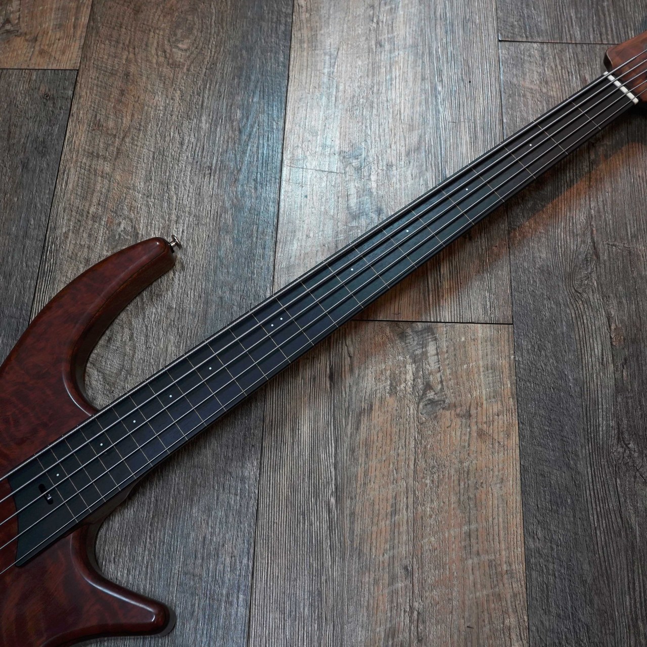 Cortex Bass Napoleon Deluxe 5 Fretless（中古）【楽器検索デジマート】
