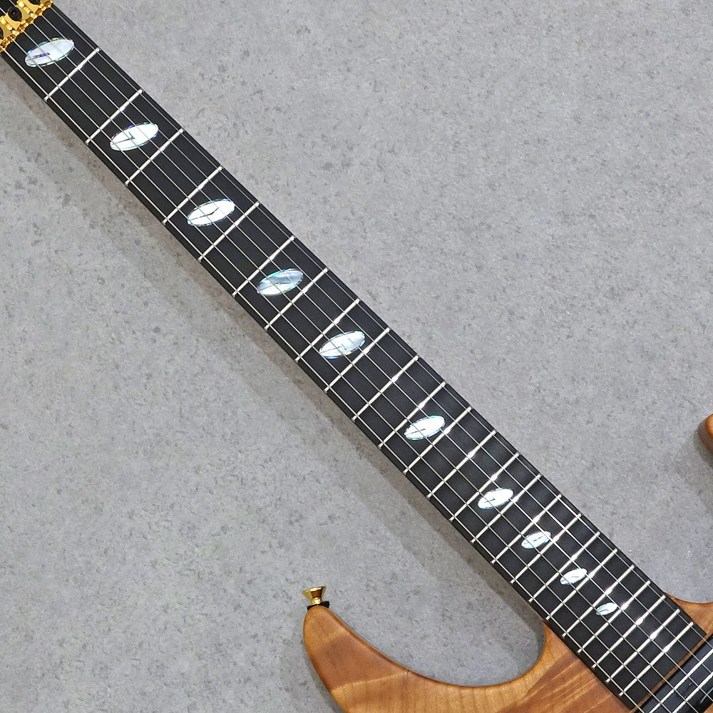 サ*メ様 Caparison Dellinger サ*メ様 Caparison Dellinger