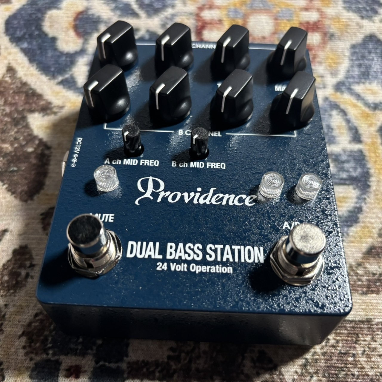 Providence DBS-1 (DBS1) ベースプリアンプ【S/N:Z801359