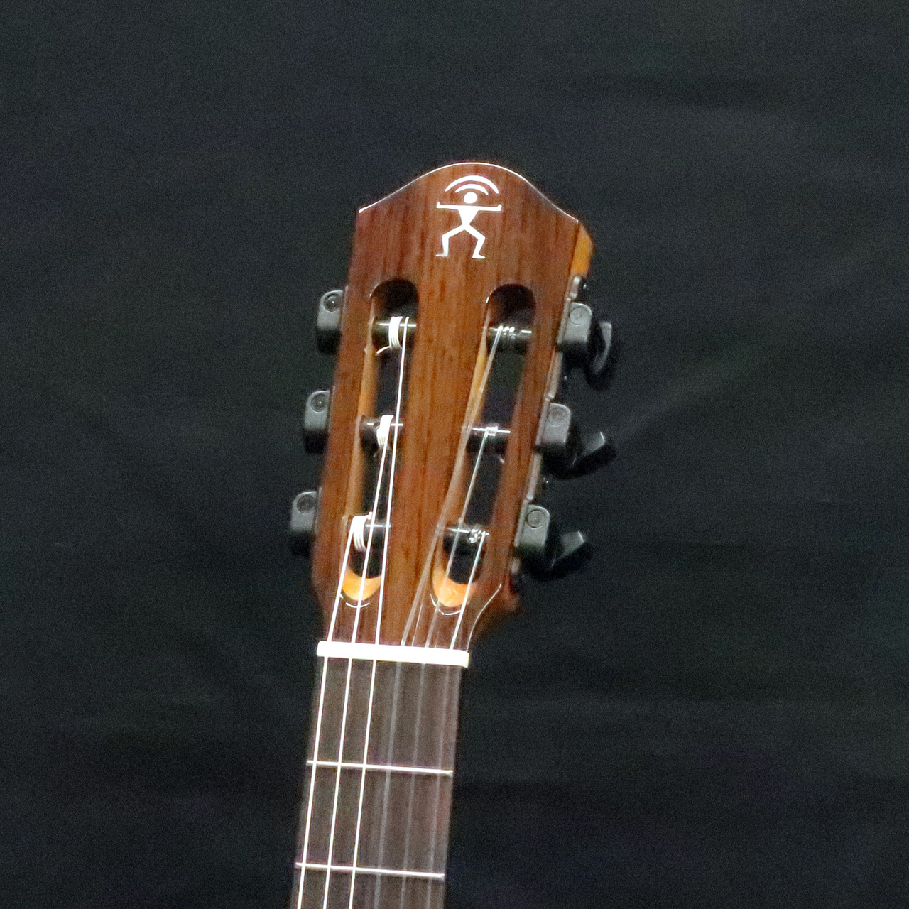 aNueNue aNN-MN14E（新品）［デジマートSALE］【楽器検索デジマート】