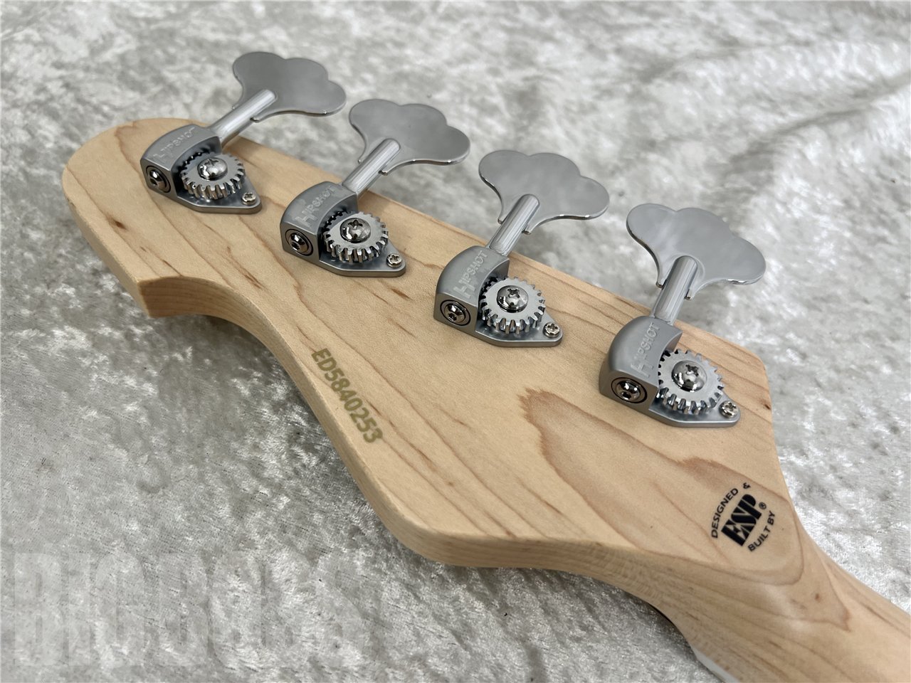 EDWARDS E-AMAZE-4-AS/M (Solid Black)（新品/送料無料）【楽器