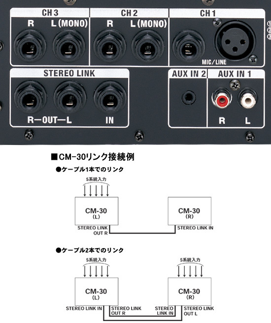 Roland コンパクト・モニターアンプ CM-30 : ローランド Cube Monitor