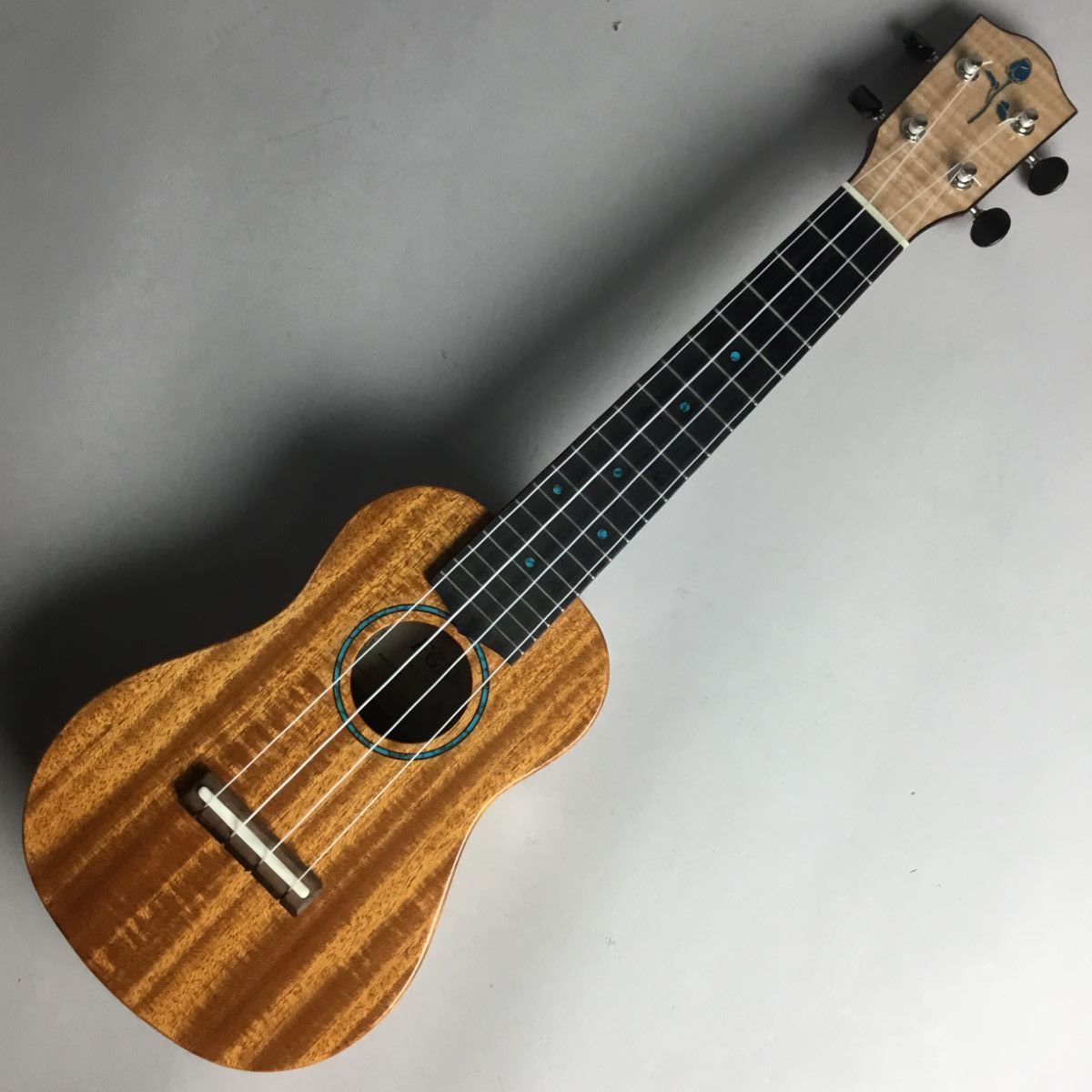 FUJIGEN(FGN) FUE-TS/T【USED】【下取りがお得！】（中古/送料無料