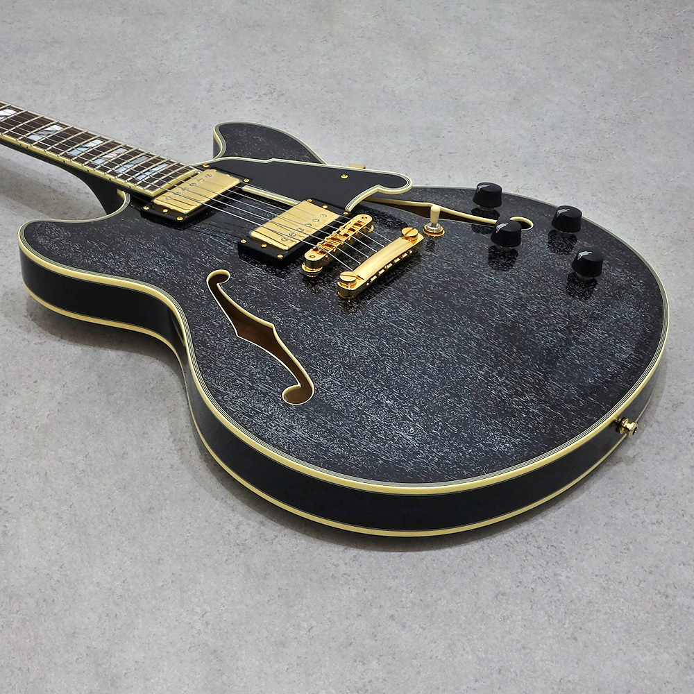 D'Angelico Excel DC Black Dog 【2026 EARLY SUMMER SALE！～5月17日
