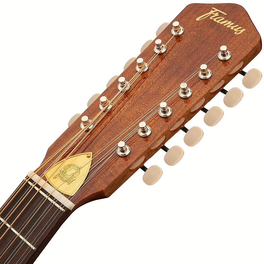 Framus Hootenanny 12-String (Vintage Tinted Nitro)（新品）【楽器
