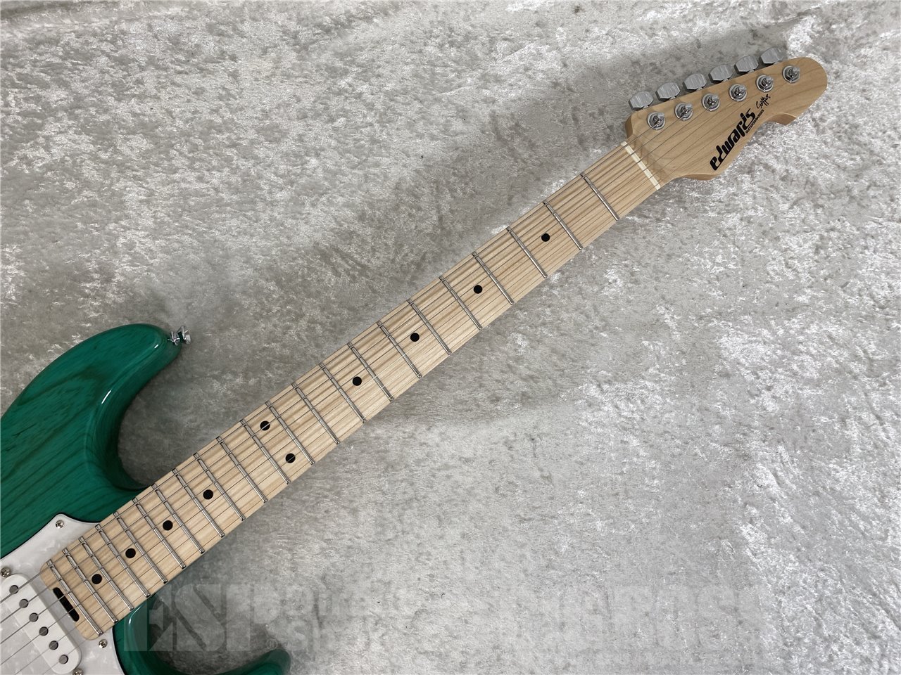 EDWARDS E-SNAPPER-AS/M(Turquoise)（新品/送料無料）【楽器検索