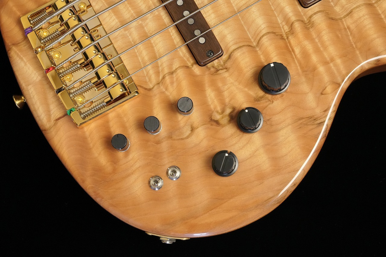 dragonfly CS-5/345 Custom MAPLE/A.MAHOGANY（新品/送料無料）【楽器
