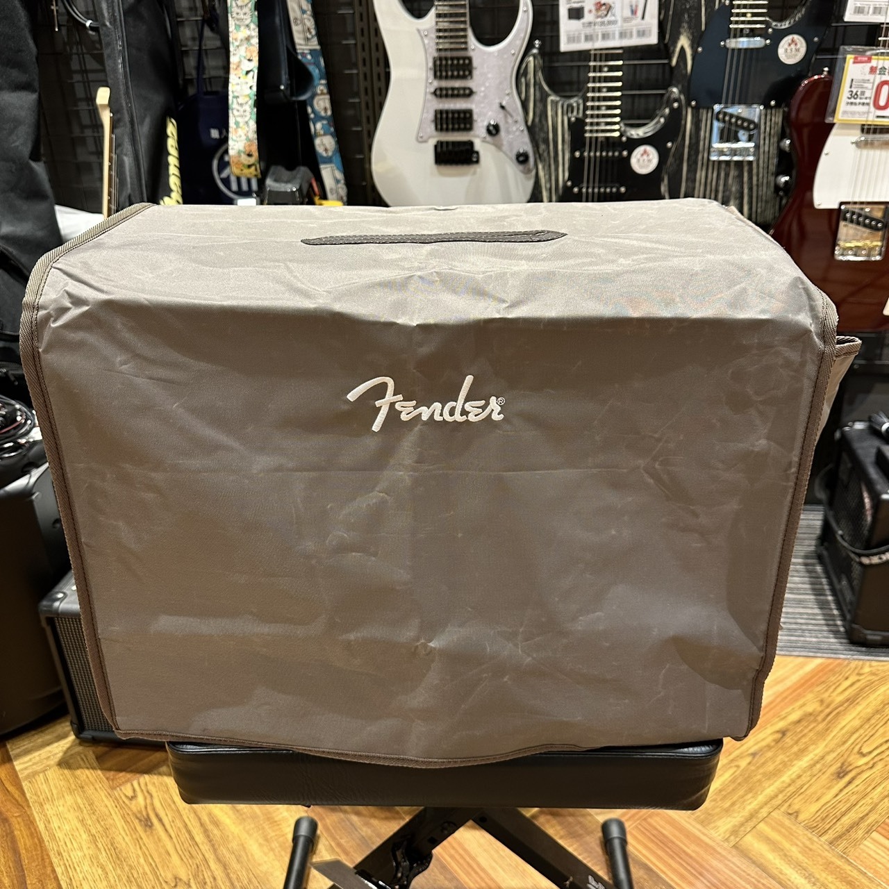 Fender Acoustic 100【 現物画像】（中古）【楽器検索デジマート】