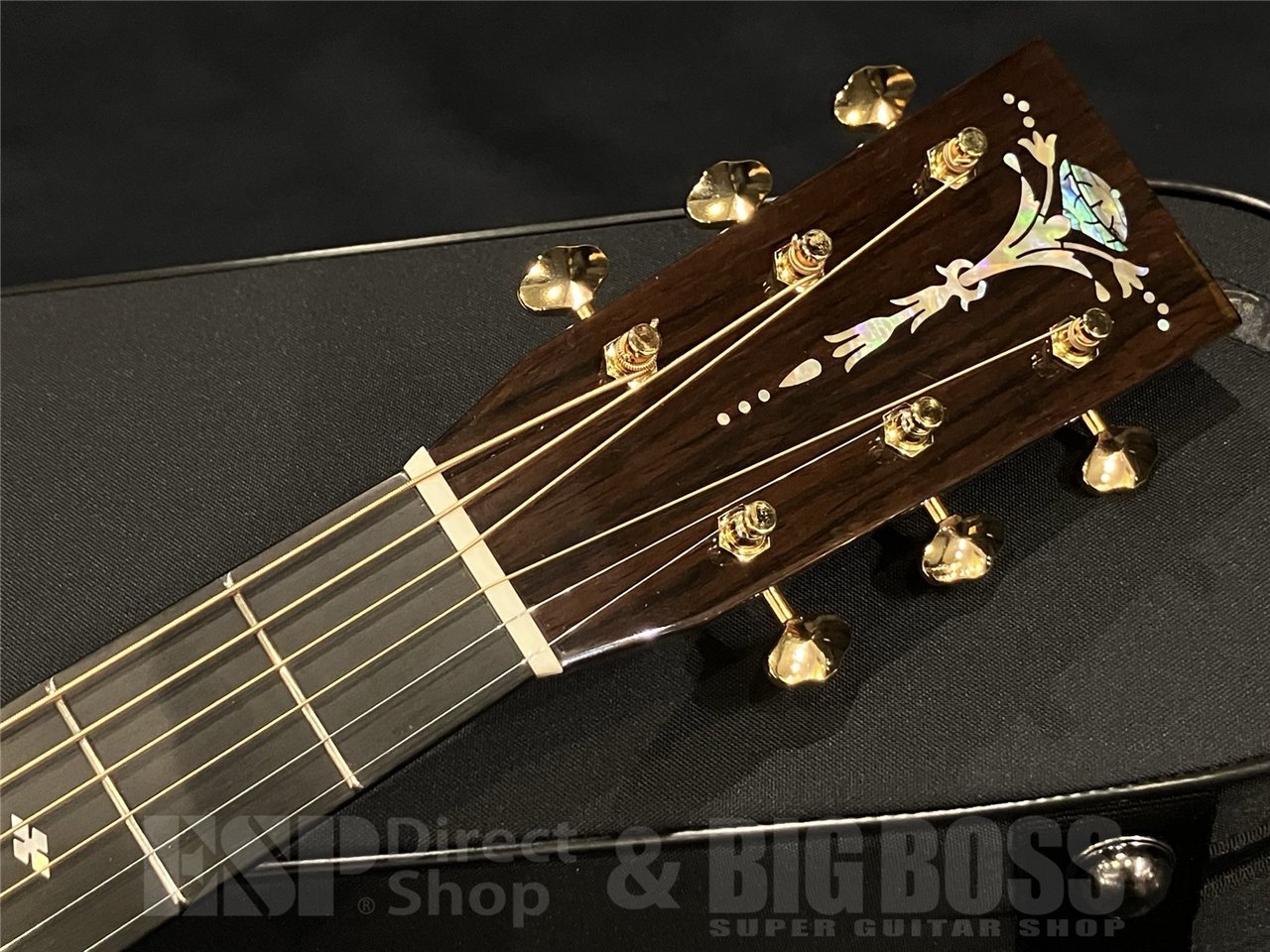 ASTURIAS E.C. CUSTOM 【Limited Model】（新品/送料無料）【楽器検索