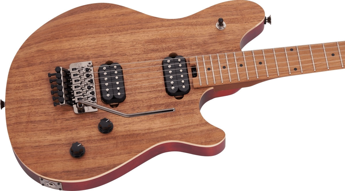 EVH Wolfgang WG Standard Exotic Koa イーブイエイチ【WEBSHOP