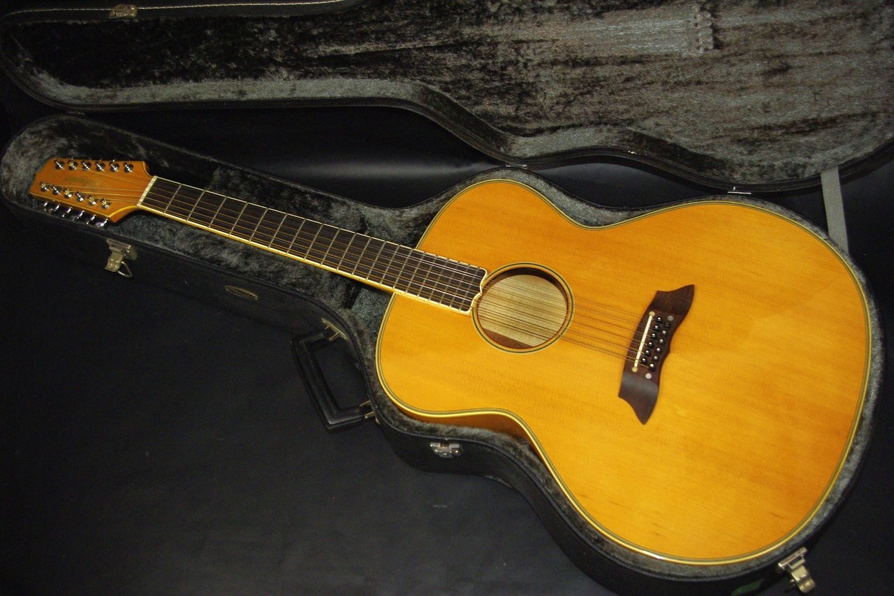 Takamine NPT 12 Strings（中古）【楽器検索デジマート】