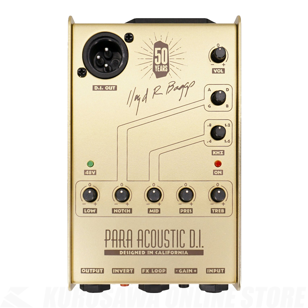 レコーディングキング　美品 オール単板　即戦力000モデル LR.BAGGS L.R.Baggs 50th Anniversary Gold Para Acoustic D.I. 《限定