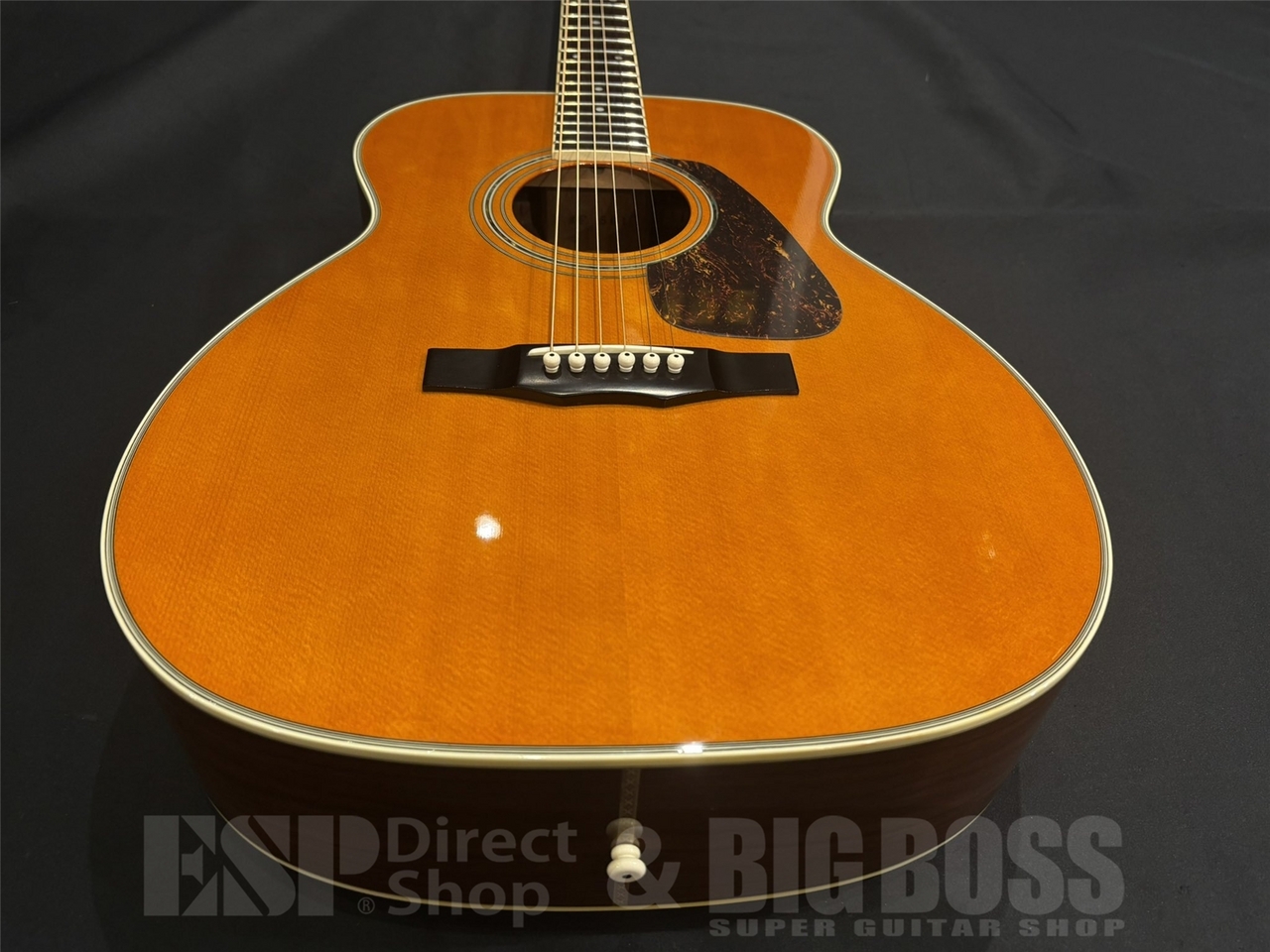 Morris MF501 / Natural（中古/送料無料）【楽器検索デジマート】