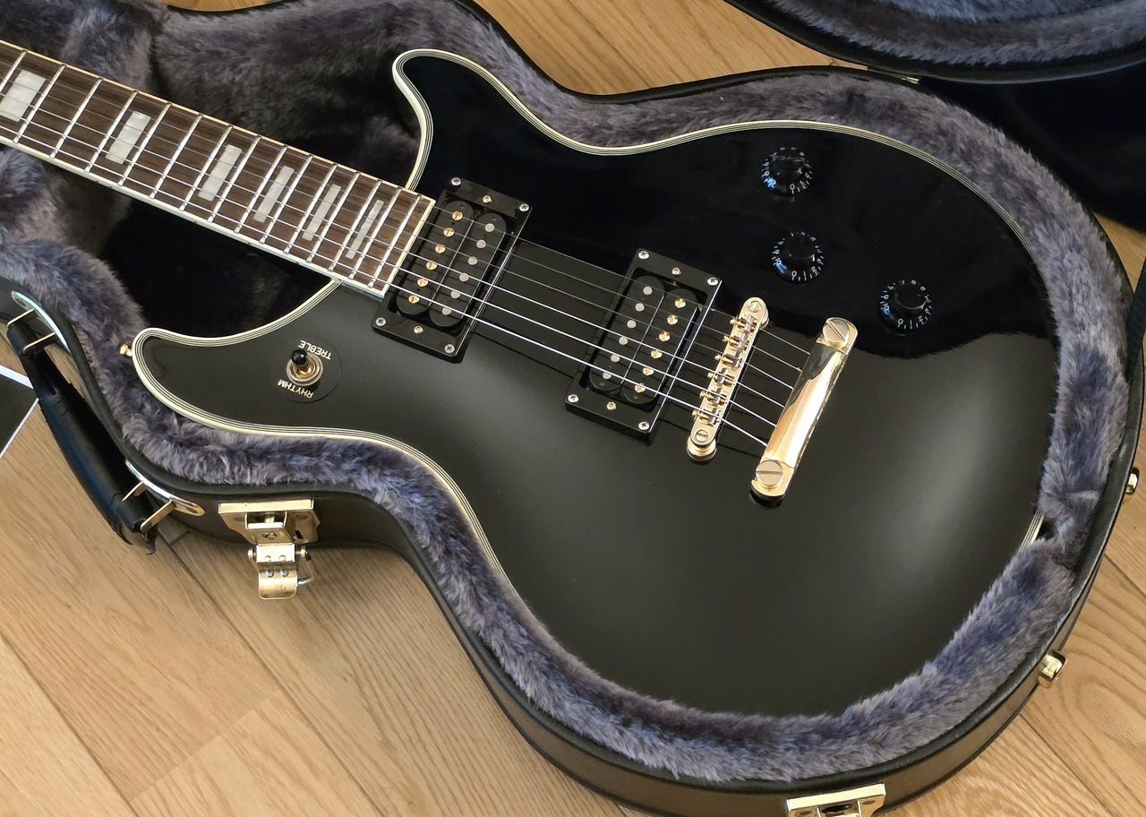 最終価格【美品ワンオーナー】Epiphone Tak DC Custom 最終価格【美品ワンオーナー】Epiphone Tak DC Custom Epiphone TAK