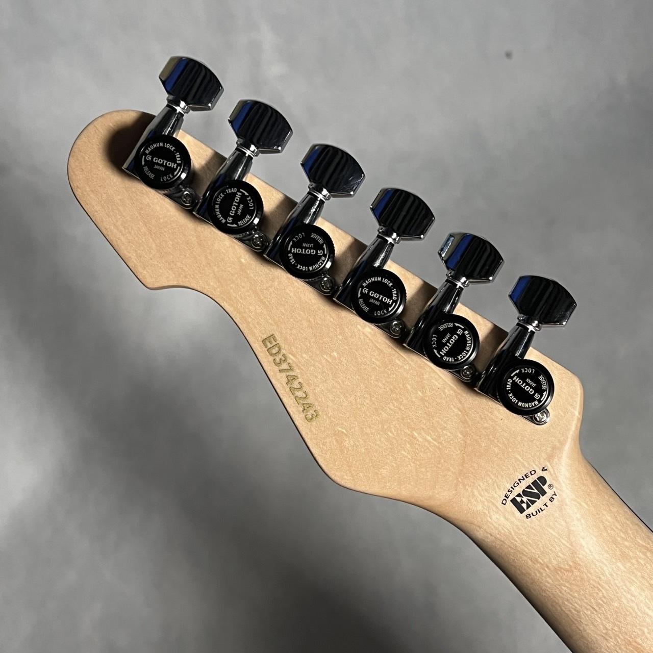 EDWARDS E-THROBBER-CTM【現物画像】（新品/送料無料）【楽器検索